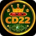 CD22 Game