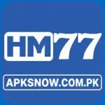 HM77 Game