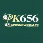 PKR656 Game