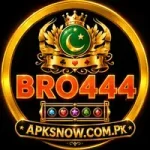 BRO444 Game